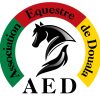 logo AED