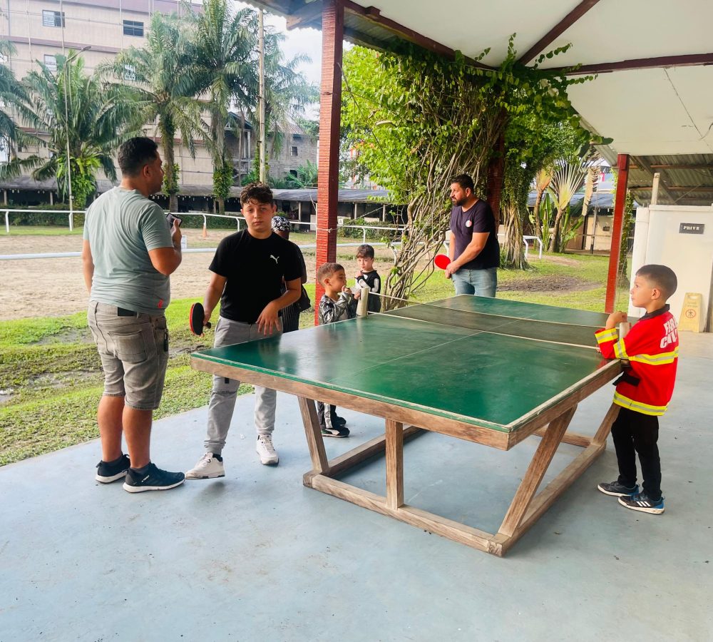 tenis de table